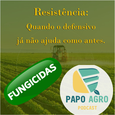 Papo Agro Podcast: Vamos Falar Sobre O Agro?