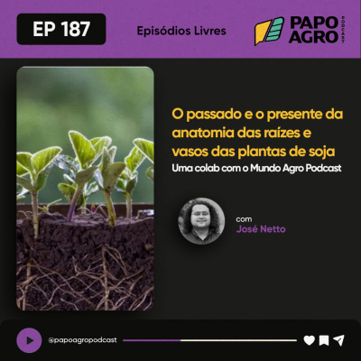 Papo Agro Podcast: Vamos Falar Sobre O Agro?
