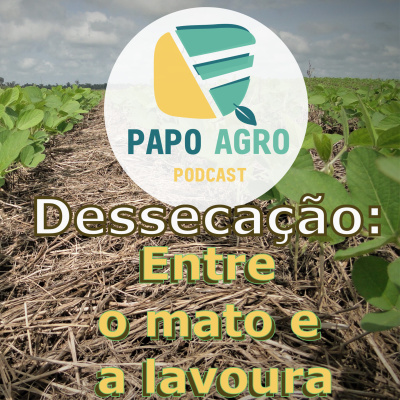 Papo Agro Podcast: Vamos Falar Sobre O Agro?