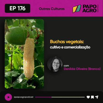 Papo Agro Podcast: Vamos Falar Sobre O Agro?