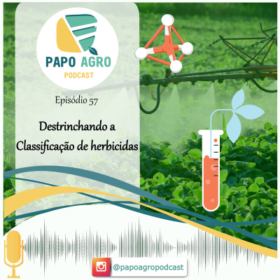Papo Agro Podcast: Vamos Falar Sobre O Agro?