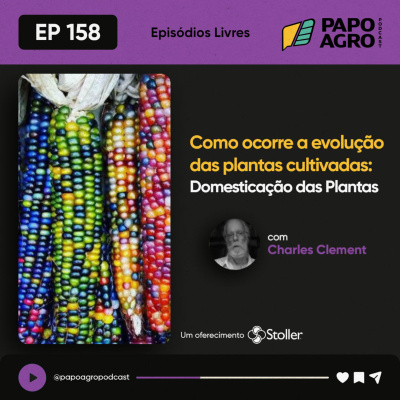 Papo Agro Podcast: Vamos Falar Sobre O Agro?