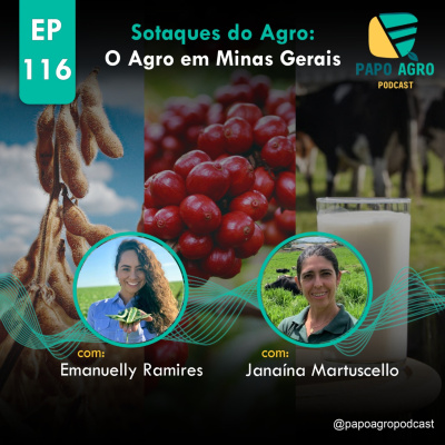 Papo Agro Podcast: Vamos Falar Sobre O Agro?