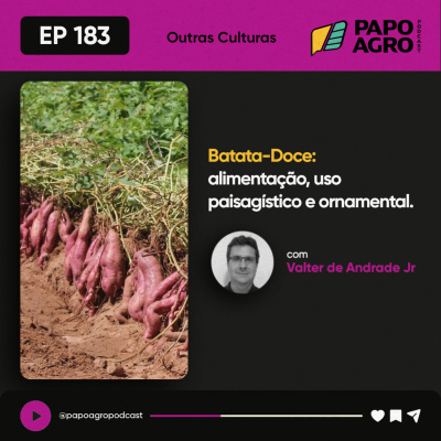 Papo Agro Podcast: Vamos Falar Sobre O Agro?