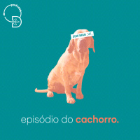 Episódio do cachorro