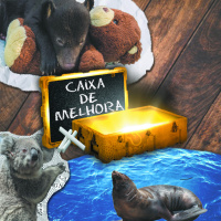 Caixa de Melhora - 001 - O Urso, o Coala e a Foca