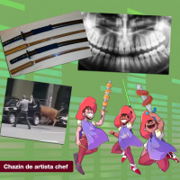 Mosqueteiros #51 – Entre cães e gatos