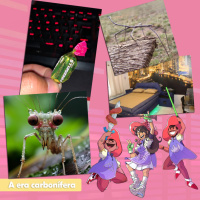 Mosqueteiros #236 – Bi Chupau