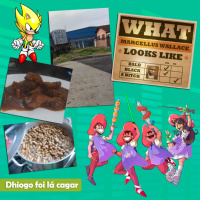 Mosqueteiros #172 Oh shit! I love you.. bye.