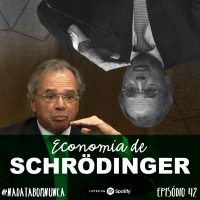#42 Economia de Schrödinger