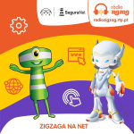 Zigzaga Na Net