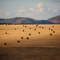 MISSÃO E OCUPAÇÃO DOS ESPÍRITOS