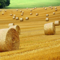 PSICOLOGIA DO EVANGELHO