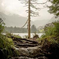 ASPECTOS PSICOLÓGICOS E ESPIRITUAIS DAS DOENÇAS
