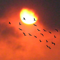 A FAMÍLIA E O ESPIRITISMO