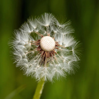 CAPACETE DA ESPERANÇA