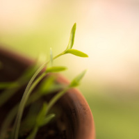 MELHORANDO O DESTINO