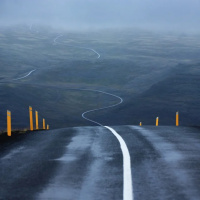 REVERÊNCIA PELA VIDA