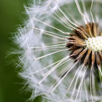 SEMINÁRIO JESUS: O INTÉRPRETE DE DEUS
