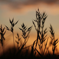 SEMINÁRIO PSICOLOGIA DO ESPÍRITO 