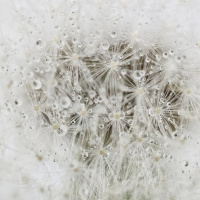 PSICOLOGIA, MITOLOGIA E ESPIRITUALIDADE