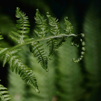 REENCARNAÇÃO: PROCESSO EDUCATIVO