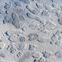 CAUSALIDADE E DESTINO