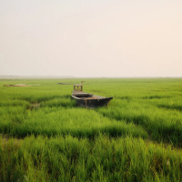 PSICOLOGIA DO ESPIRITO