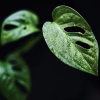 PSICOLOGIA DO EVANGELHO