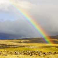 CAP. XXV - PROCURAI E ACHAREIS. AJUDA-TE, O CÉU TE AJUDARÁ.