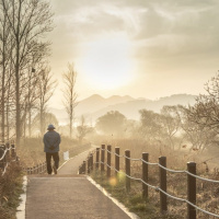 EU SOU UM ESPÍRITO EM BUSCA DA SABEDORIA