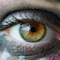 TUDO VALE A PENA QUANDO A ALMA NÃO É PEQUENA