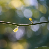 FRATERNIDADE NO DIA A DIA