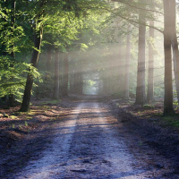 A META DA AUTODETERMINAÇÃO