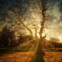 O ESPÍRITO COMO A LUZ DO MUNDO