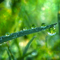 RAZÃO E MEDIUNIDADE NA PERSPECTIVA DO ESPÍRITO E ASPECTOS BIOLÓGICOS DA REENCARNAÇÃO