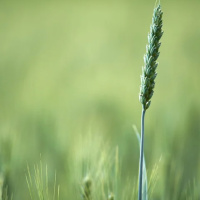 FORA DA CARIDADE NÃO HÁ SALVAÇÃO