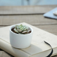 MOMENTO DO SABER: CLUBE DO LIVRO HARMONIA