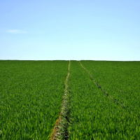 INFLUENCIA ESPIRITUAL