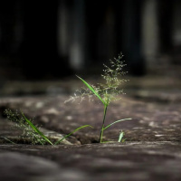 AULA 9. AUTODETERMINAÇÃO, A IDEIA DE DEUS, O SÉCULO XXI, TENDÊNCIAS E DESAFIOS