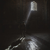 UM DIÁLOGO SOBRE O HUMANO