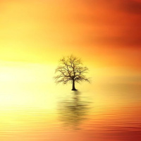 ESPIRITUALIDADE NO DIA A DIA