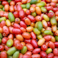 HÁ MUITA DIFERENÇA