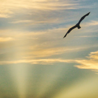 VIVER COMO ESPÍRITO E DESIGNAÇÃO PESSOAL