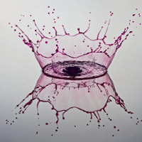 SOBRE O UNIVERSO QUÂNTICO