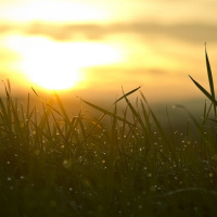 ANO NOVO E RENOVAÇÃO