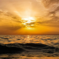 AFETO, ALEGRIA E COMPAIXÃO NO DIA A DIA