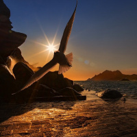 LIBERDADE E ESPIRITUALIDADE