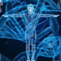 O LOCUS NÃO BIOLÓGICO