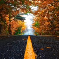 O DESTINO E O CAMPO PESSOAL 